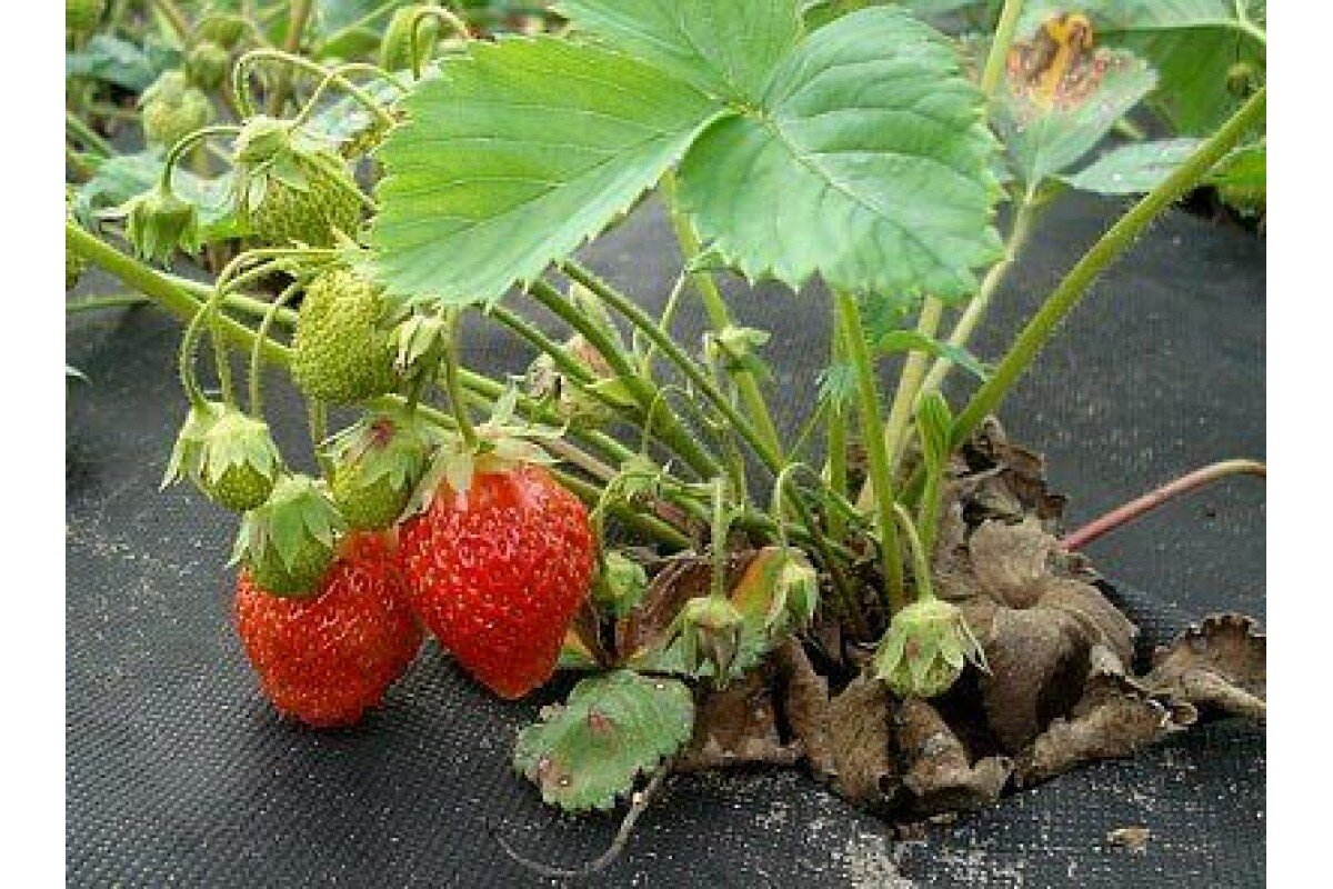 фото автора статьи