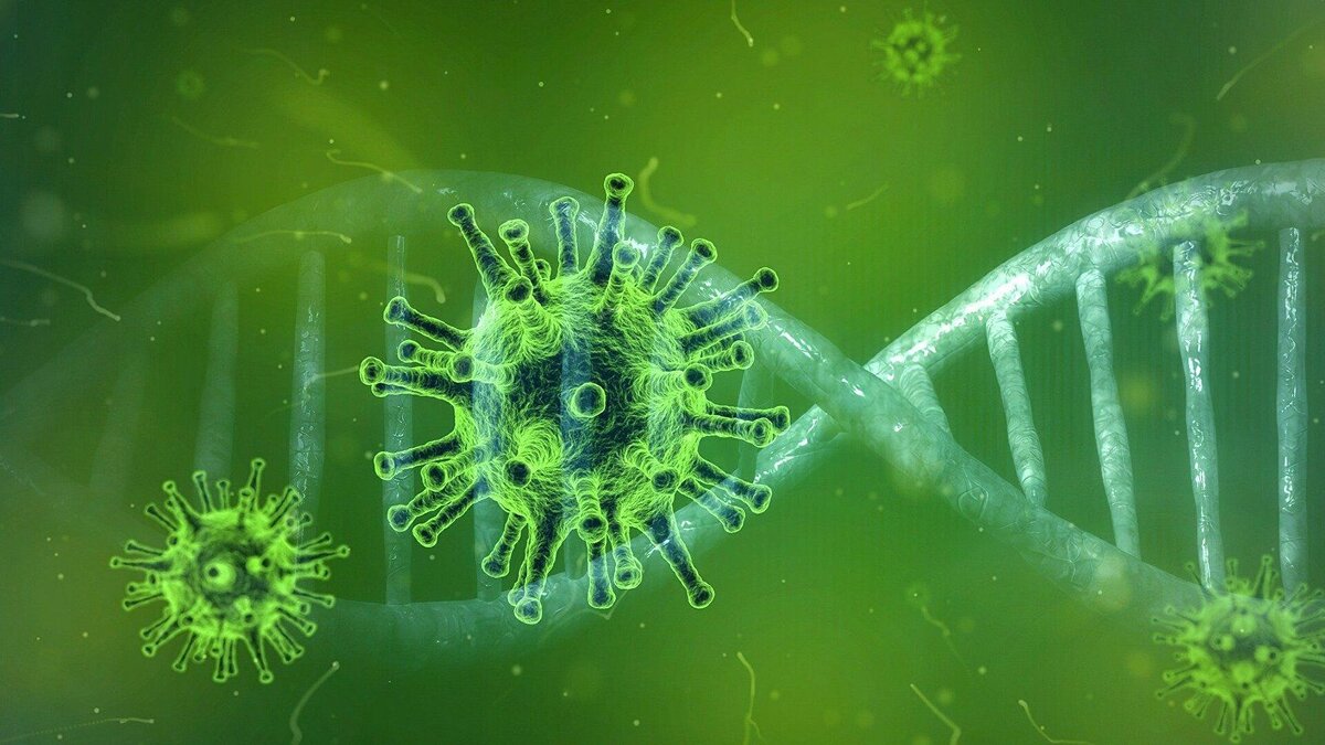 Источник фото: https://tj.sputniknews.ru/20210214/koronavirus-vozdeystvie-psikhika-1032824019.html?chat_room_id=1032824019