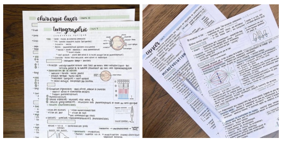Пример контента study-блогеров