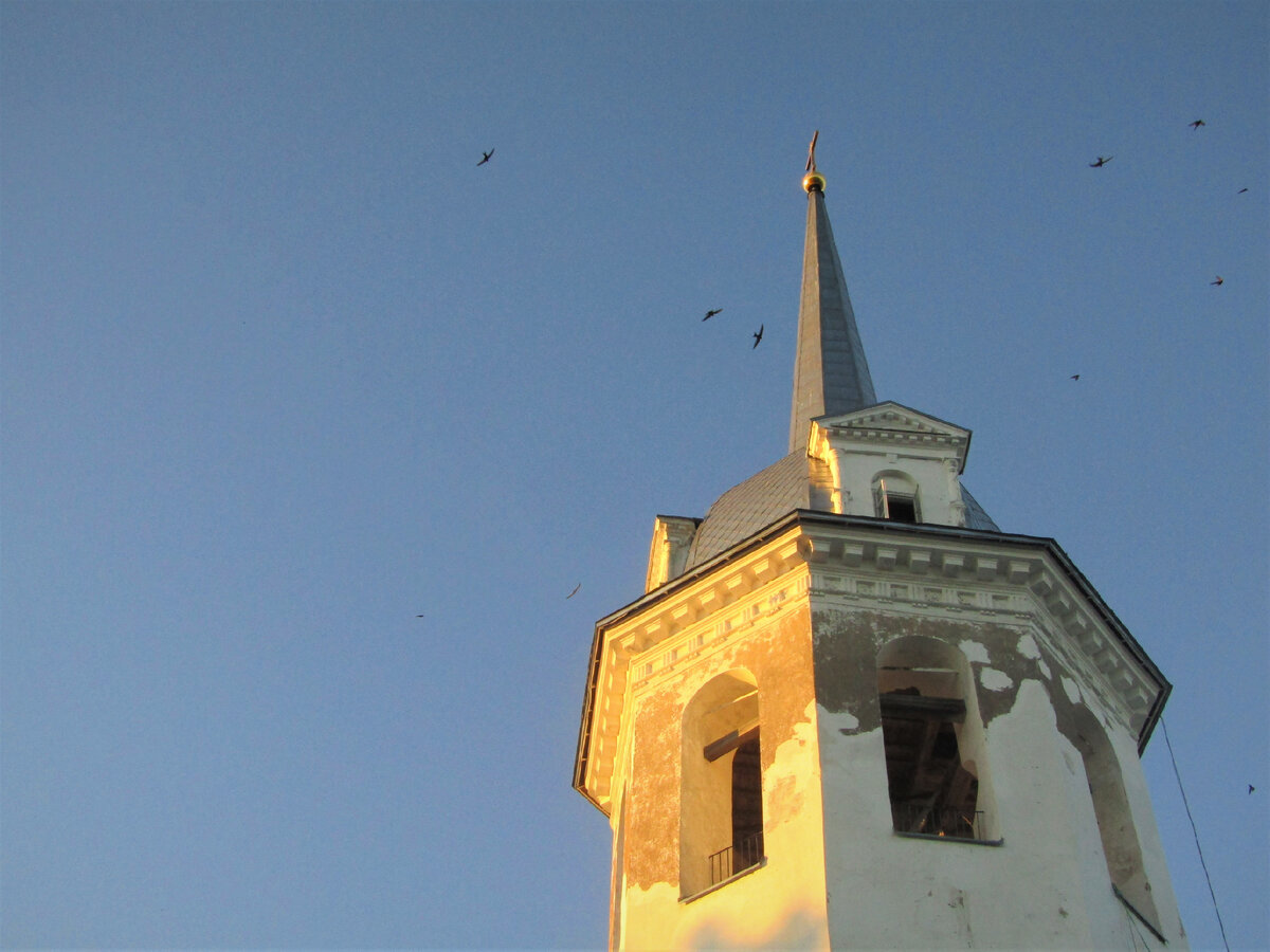 Колокольня Николо-Медведского монастыря. Вокруг парят ласточки.