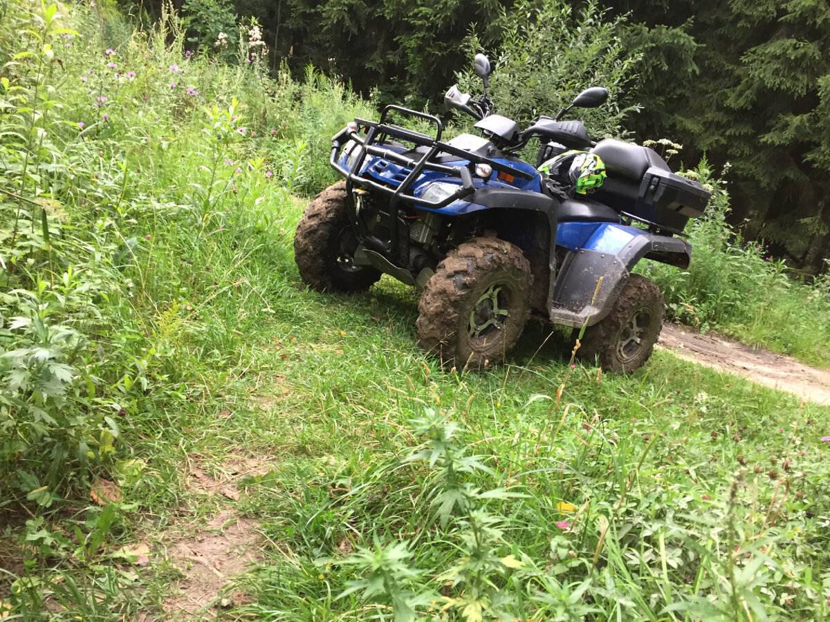 Фото из моего Инстаграм блога https://www.instagram.com/invites/contact/?i=v4jhadt0a7xk&utm_content=lyv8lgx