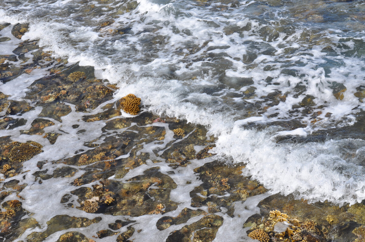 А я всё о море думаююю...