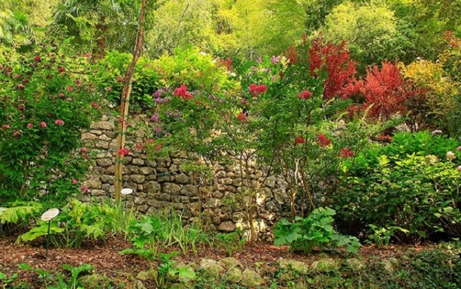 Изображение взято с сервиса Яндекс Картинки 