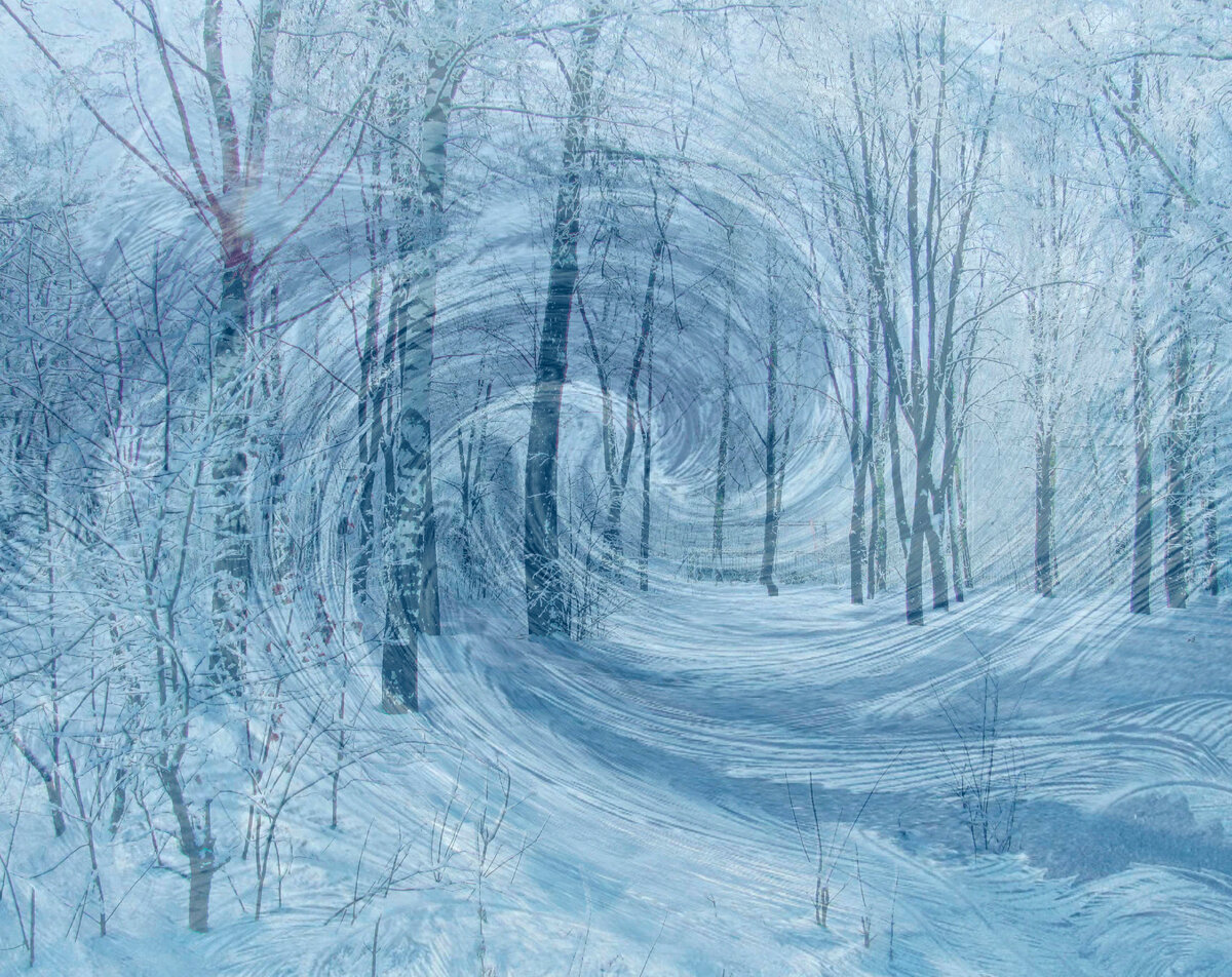 Коллаж из фото с открытых ресурсов интернета.