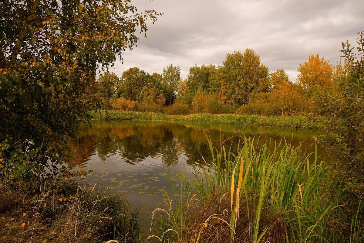 Фото — kemclub.ru