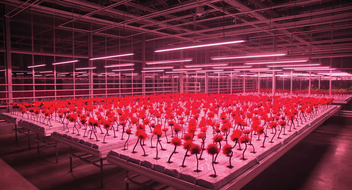 Кадр из фильм. Источник картинки: www.kinopoisk.ru