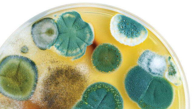 Источник фото medportal