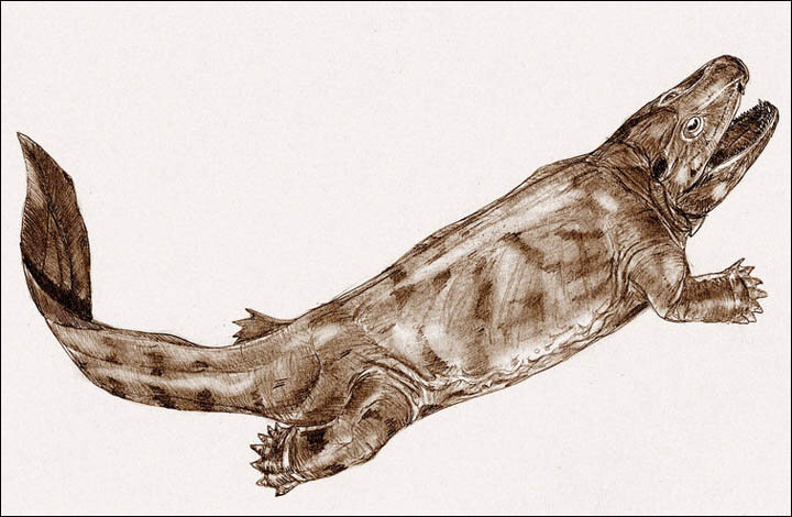 На этом фото- первый тетрапод, прародитель современных четвероногих наземных позвоночных.