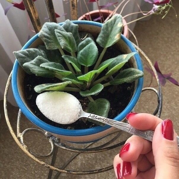 источник: pargames.ru