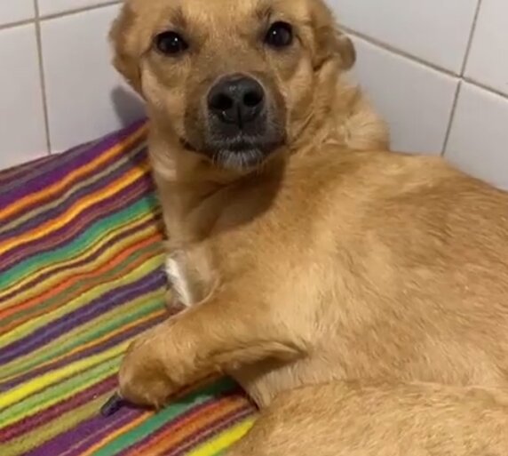 Фото: @allaleonkina