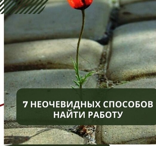 7 неочевидных способов найти работу