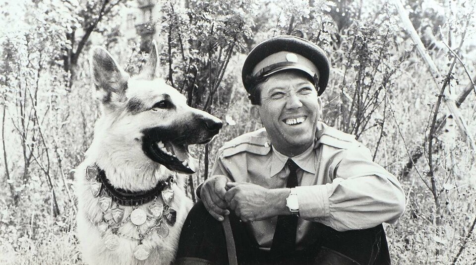 Кадр их фильма с Никулиным "Ко мне, Мухтар" 1964 г взято с сайта   culture.ru