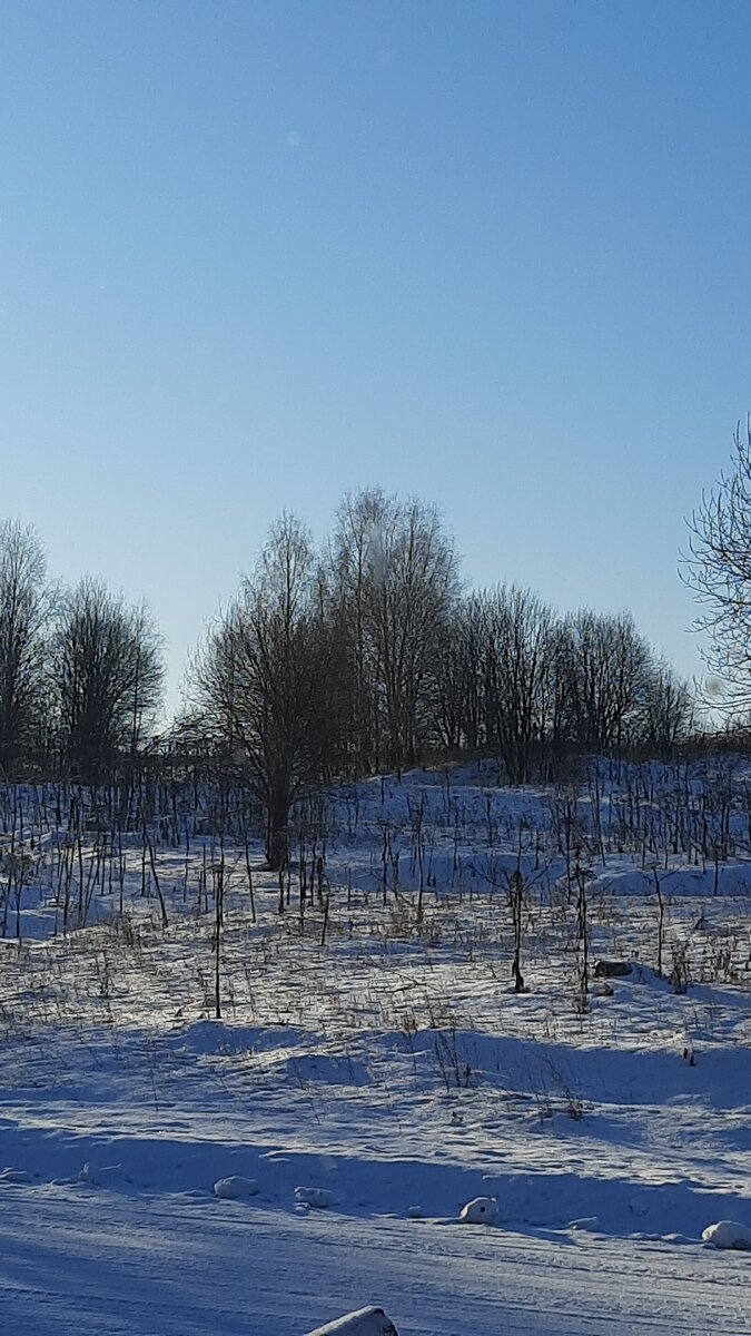Солнечный морозный день.