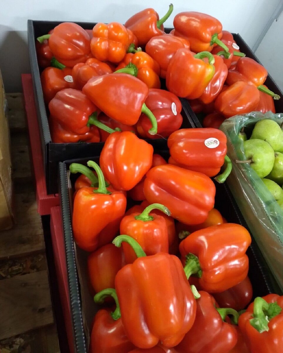 Светофор новинки. Новинки декабрь 2021 в Светофоре. Акция Светофор 15.12.2021. Светофор акции.Товары в Светофоре сегодня 15 декабря 2021