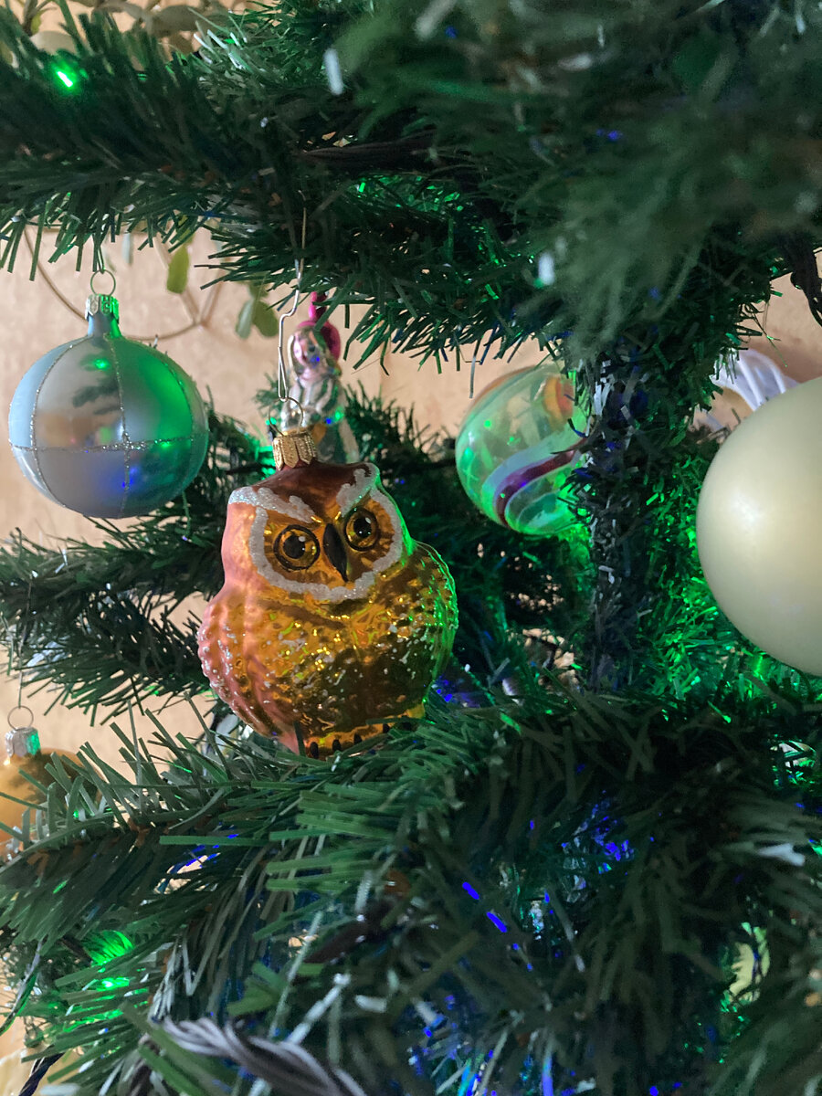 Фото из личного архива автора.