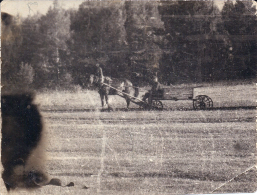 Окрестности деревни Лакино