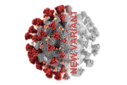 Откуда взялся омикронный вариант SARS-CoV-2, и что он означает для будущего пандемии? 