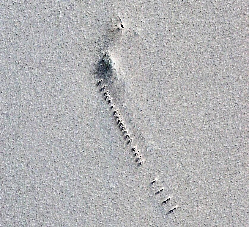 Загадочный объект в Антарктиде. Программа Гугл Планета Земля. Скрин с моего компьютера.