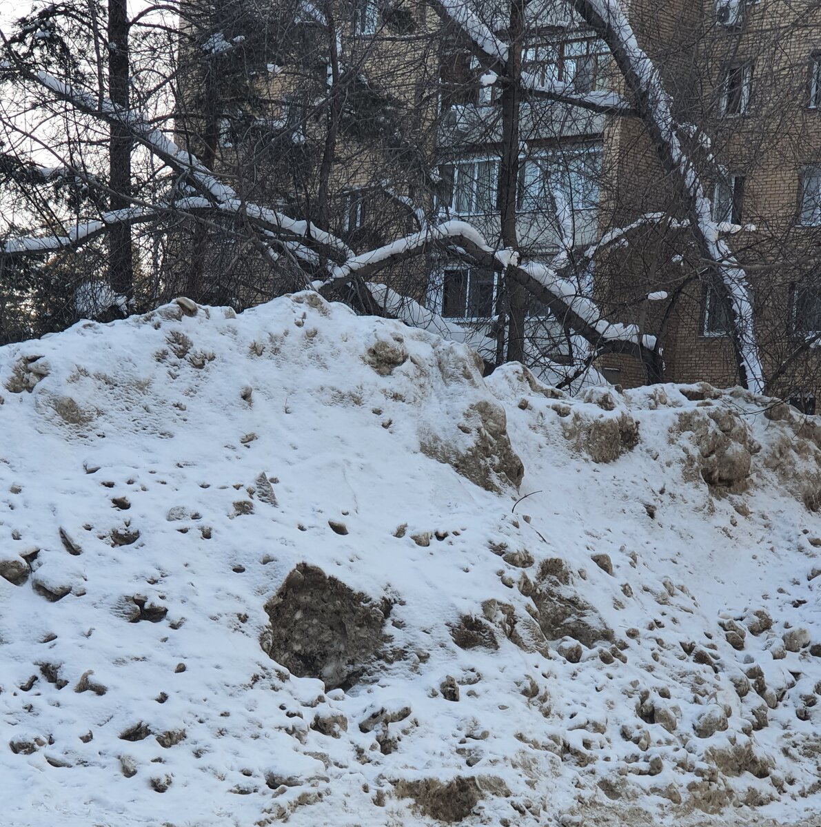 Фото из личного архива