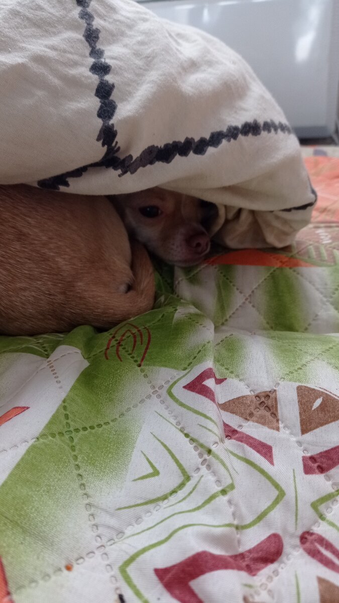 Фото из личного архива