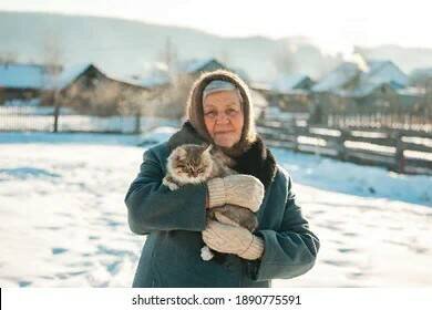 Изображение с сайта бесплатных фотографий Shutterstock.com