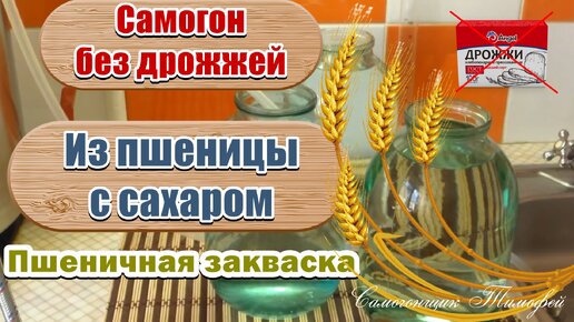 Самогон без дрожжей 🥃 Самогон из пшеницы с сахаром 🥃 Пшеничная закваска