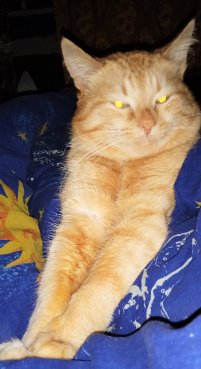 Благодарю за фото Рудольфа Стаса КАРПОВА)