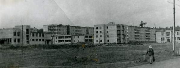 Первое упоминание о Кремёнках относится к 1709 году. Оно фигурирует в ландратской книге Малоярославецкого уезда, Хохловского стана. Традиционно историю города Кремёнки связывают с личностью княгини Е.Р. Дашковой, который располагается на землях этой известной русской просветительницы, которая считала Троицкое имение "одним из самых красивых мест в России и за границей".

Википедия на этот счет сообщает, что "город возник как населённый пункт около села Троицкое в начале XVIII века. По ревизии 1721—1722 (первая подушная перепись населения России) Кремёнки были приписаны к Серпуховскому уезду и принадлежали прапорщику Преображенского полка Ивану Петровичу Дашкову."

Образ Е.Р. Дашковой стал основой герба МО ГП «Город Кремёнки». Она стала олицетворением величия, интеллекта, мудрости, символом чести, искренности и добродетели.


Развитие связано со строительными потребностями города Протвино. Город был образован из-за советской политики прописки - в нём селились в основном те строители, на которых было невозможно или нецелесообразно делать заявку на "лимит" проживания в Московской области. Так как город (тогда посёлок) располагался в Калужской области, лимита на прописку в нём не существовало. Строители города обслуживали в основном строительство протонного ускорителя в Протвино.


15.05.1989г., решением Исполнительного комитета Совета народных депутатов Калужской области № 187 "Об отнесении деревни Кремёнки Троицкого сельсовета Жуковского района к категории рабочих поселков – преобразовано в рабочий поселок Кремёнки Жуковского района".
Постановлением Правительства Калужской области № 42 от 22.08.1996г. "О включении пос. Кремёнки в перечень муниципальных образований Калужской области" возникло муниципальное образование "Город Кремёнки".

В соответствии со ст.1 Закона Калужской области от 28.12.2004 № 6-ОЗ статус "рабочий посёлок" населёного пункта "Кремёнки" был изменён на статус "город".

На нашей земле прошли кровопролитные бои за оборону г. Москвы на Серпуховском направлении. Здесь с октября по декабрь 1941г. на рубеже обороны Дракино-Кремёнки-Павловка насмерть стояли бойцы 49-й армии под командованием генерал-лейтенанта И.Г. Захаркина. Более 18 тыс. советских воинов остались лежать на этом рубеже. Имена тех, кто принял здесь последний бой, выбиты на Блоках памяти размещенных на стенах военно-исторического мемориального комплекса "Кремёнки".