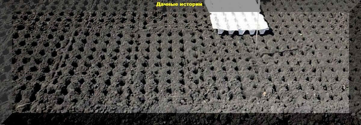 https://vk.com/photo-159774511_457252488