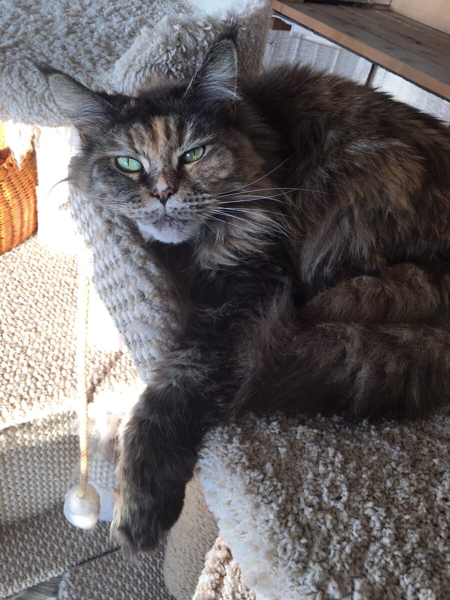 Фото из личного архива.