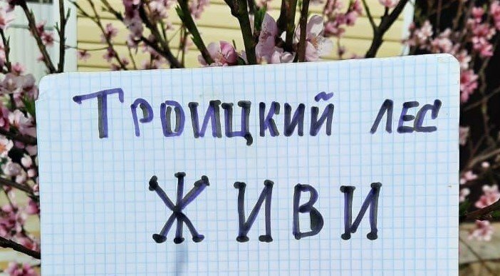 Флешмоб в поддержку Троицкого леса. Источник: @savetroitskles