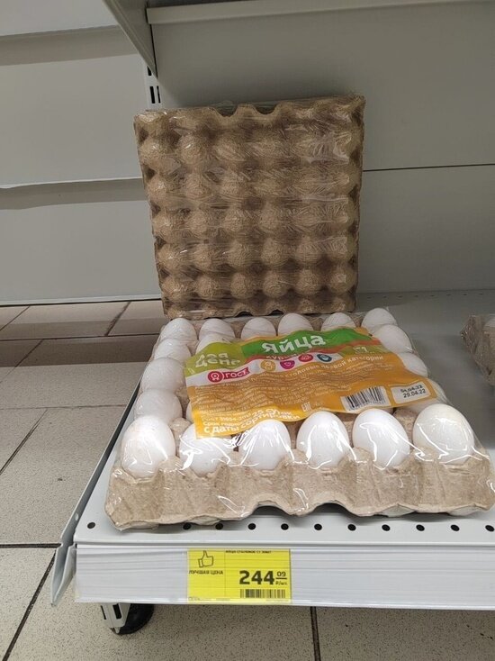 ФОТО: ОБЩЕСТВЕННАЯ ПАЛАТА НОВОГО УРЕНГОЯ