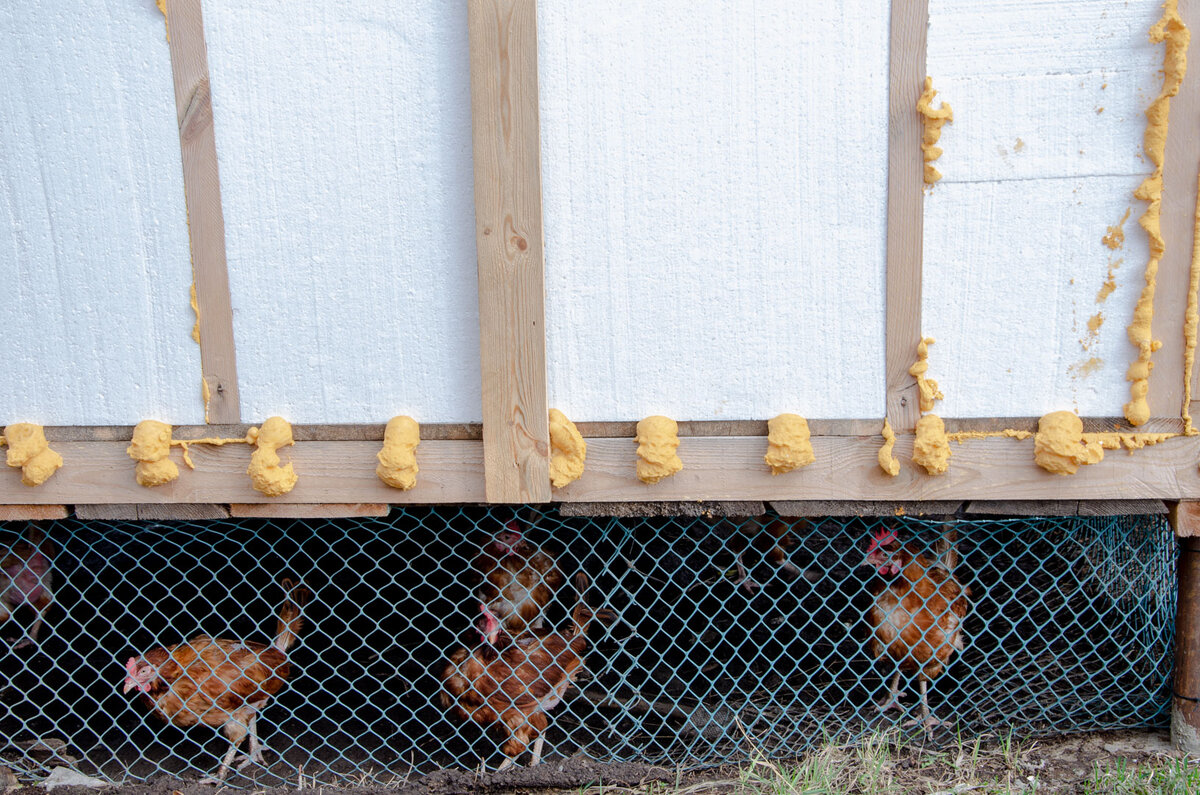 Внизу, под домиком выгул для кур, закрыт сеткой.