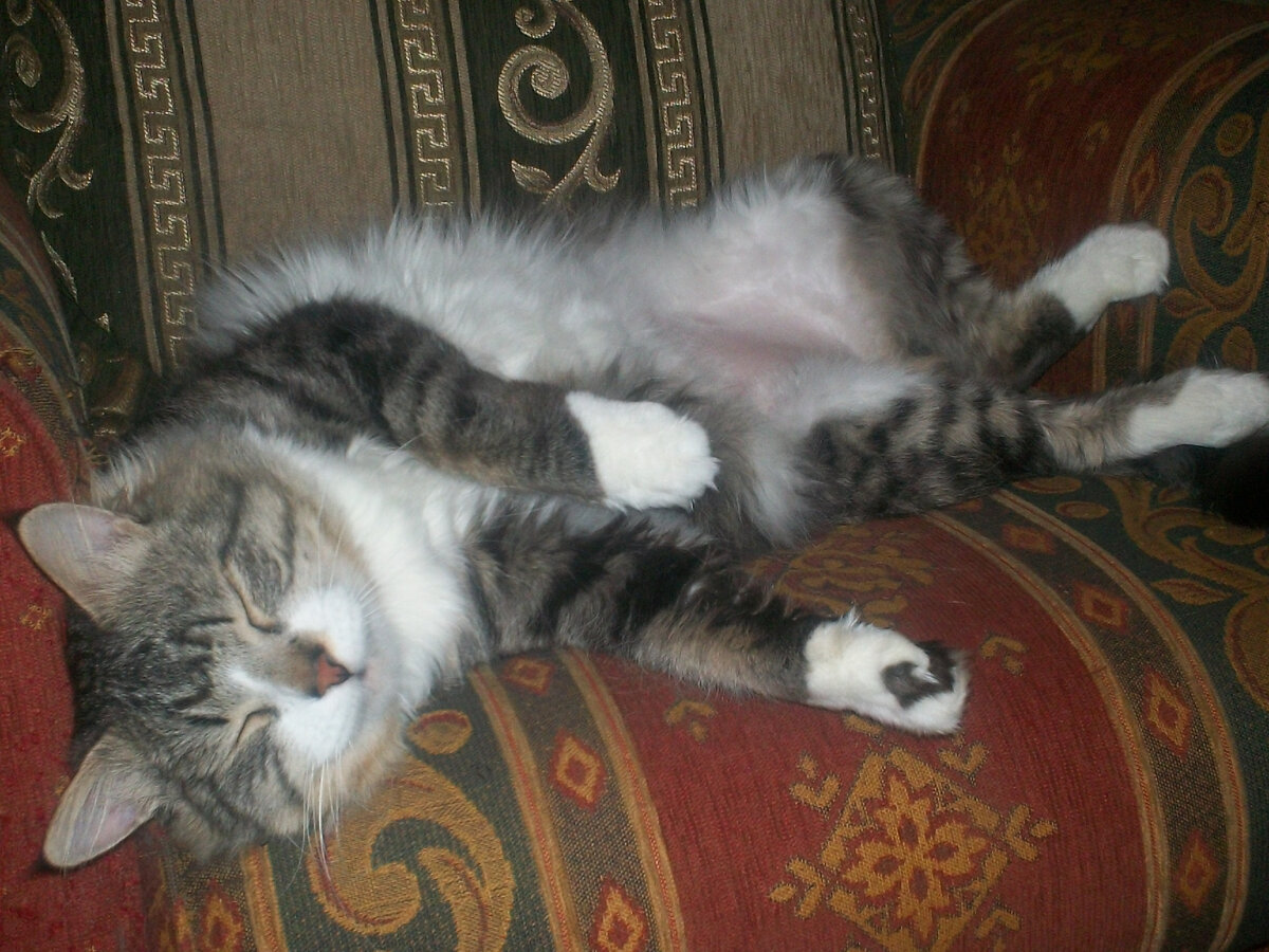 Кутуша. 2010 г.. Из личного архива.