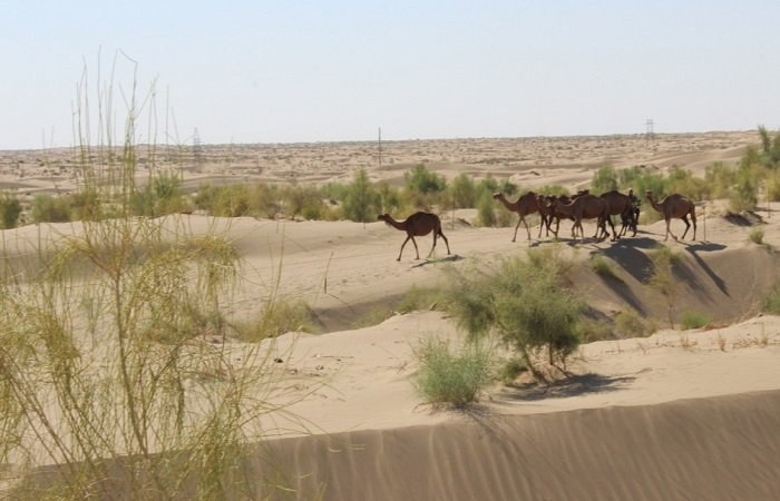 Источник фото: tm.undp.org