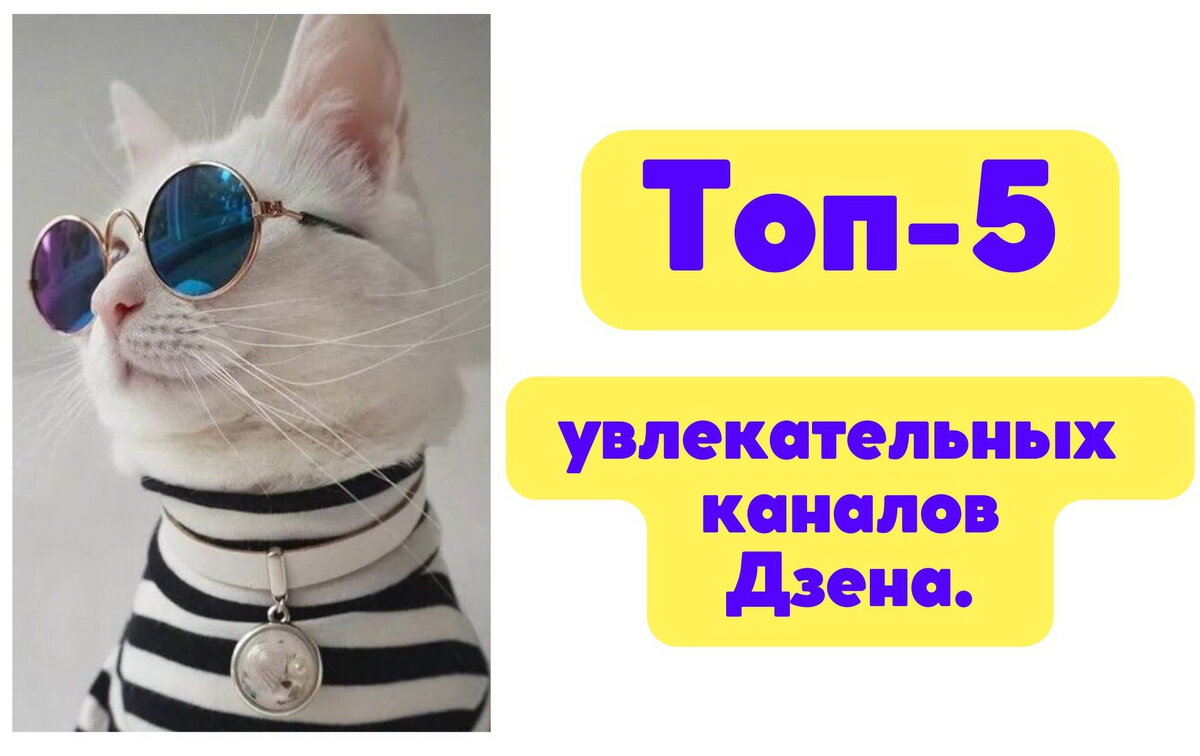 Изображение взято из открытых источников интернета.