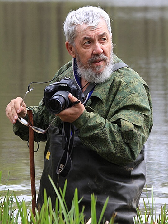 АВТОР публикации