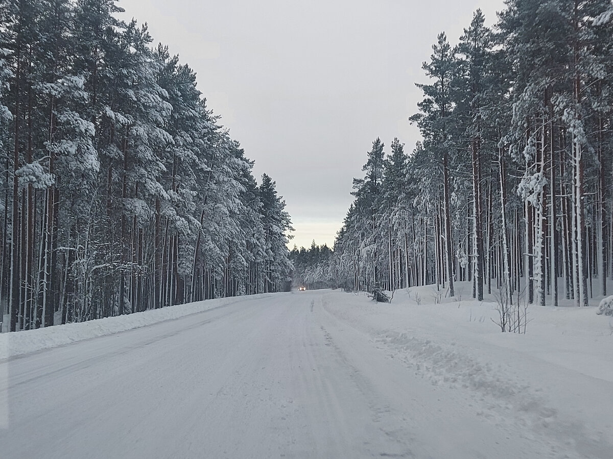 Дорога в Приморск по Приморскому шоссе.