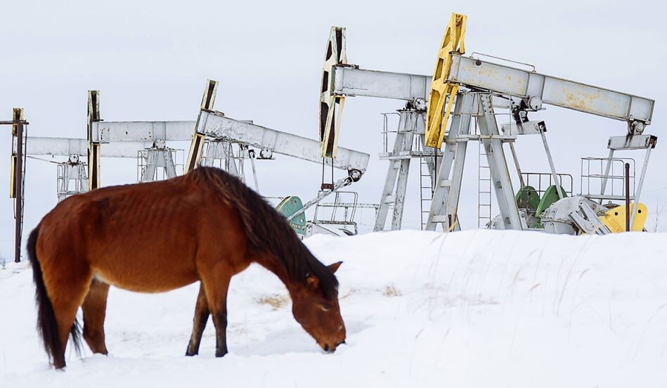 Европа откажется от нефти из России? А у вас кони едят снег? Фото: Алексей Андронов / ТАСС