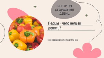 Перцы - чего нельзя делать?