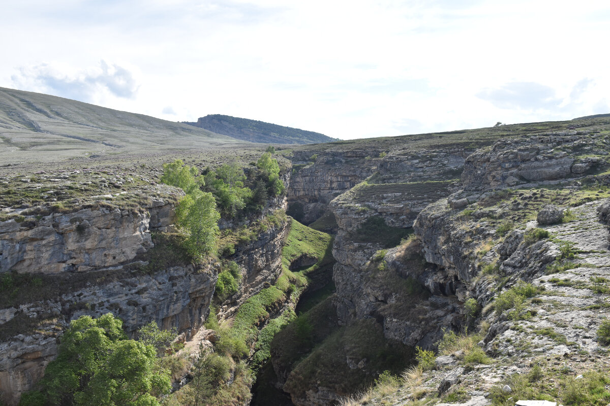 Ущелье реки Бакдакули