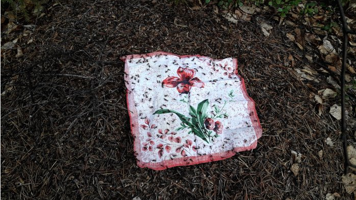 Фото из канала «Сделай Сам Своими руками»