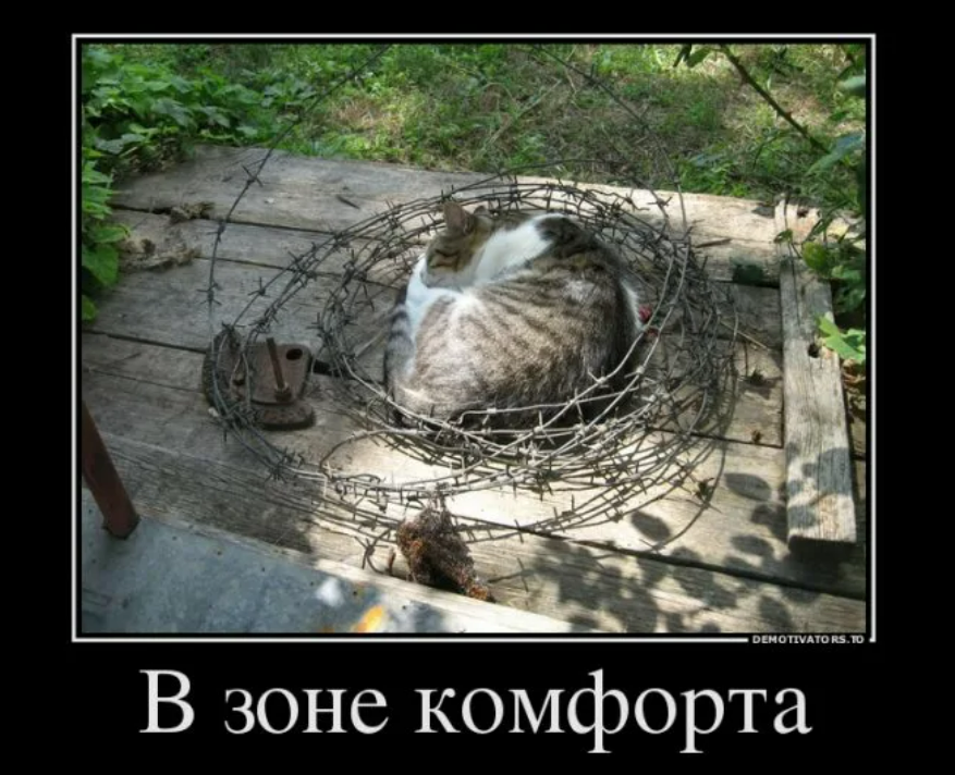 Про зону комфорта. Зона психологического комфорта. Про зону комфорта. Про зону комфорта. Вызол из зоны комфорта акула.