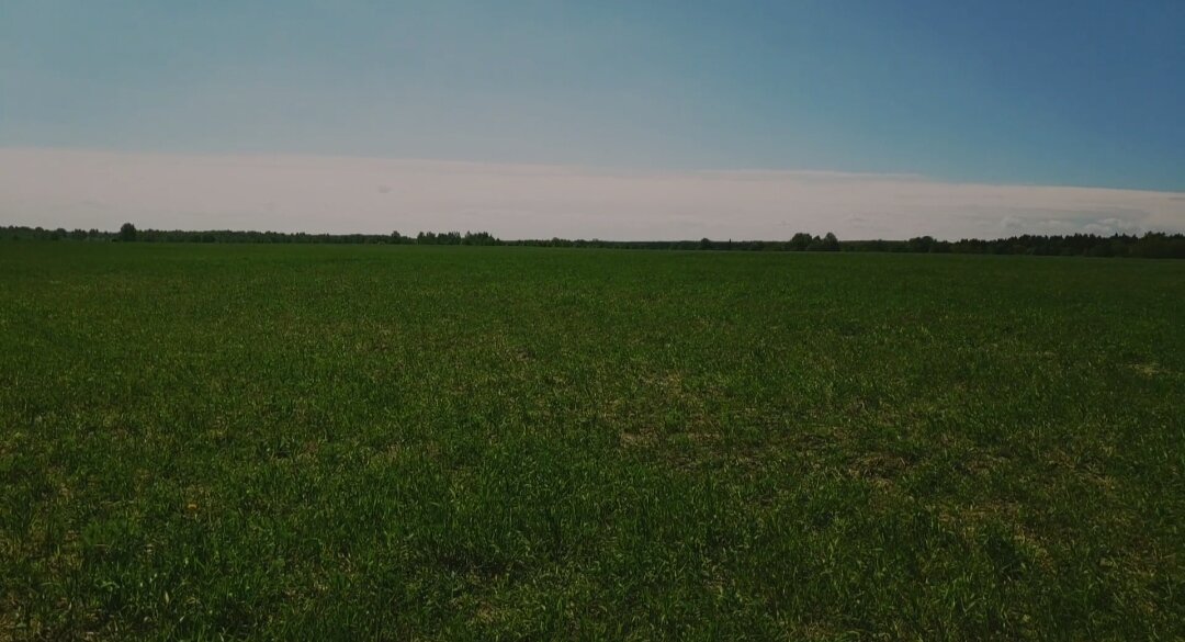 Природа на копе