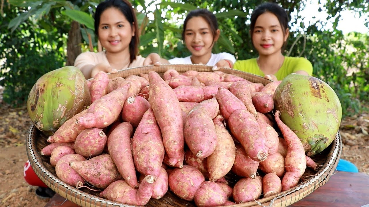 Сладкий картофель является отличным источником бета-каротина. Он является мощным антиоксидантом, а также провитамином (в организме превращается в активную форму витамина А).