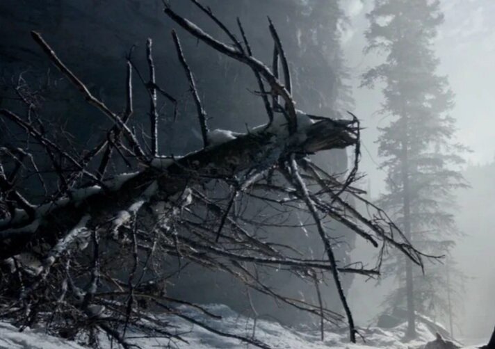 Фото взято из интернета.