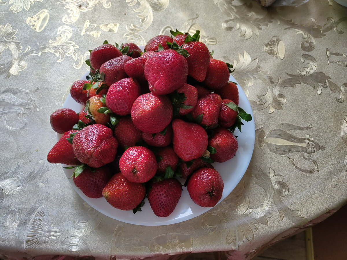 Красота и вкуснота на тарелке