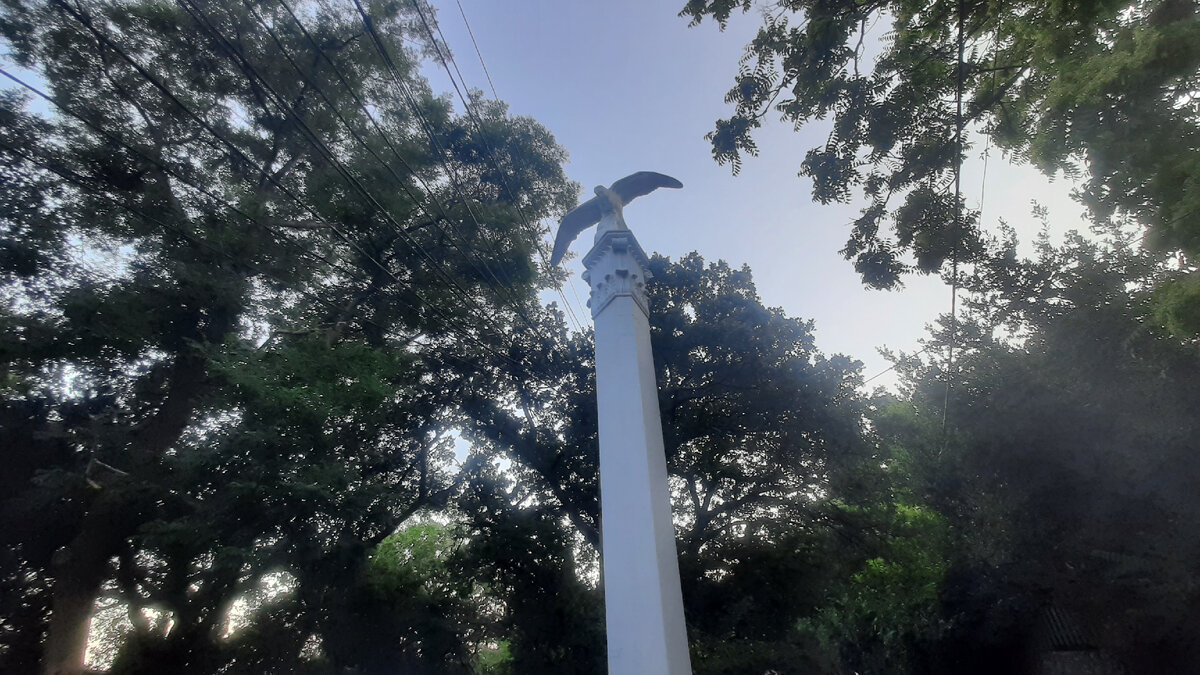 Крым. Алупка. Автор фото: Роман Ковригин/Сделано у нас