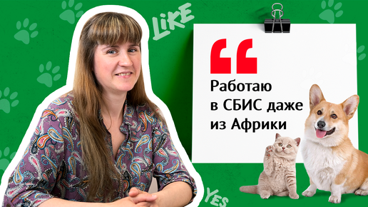 Автоматизация ветеринарной клиники: бухгалтерия, продажи, кадры | Отзыв СБИС