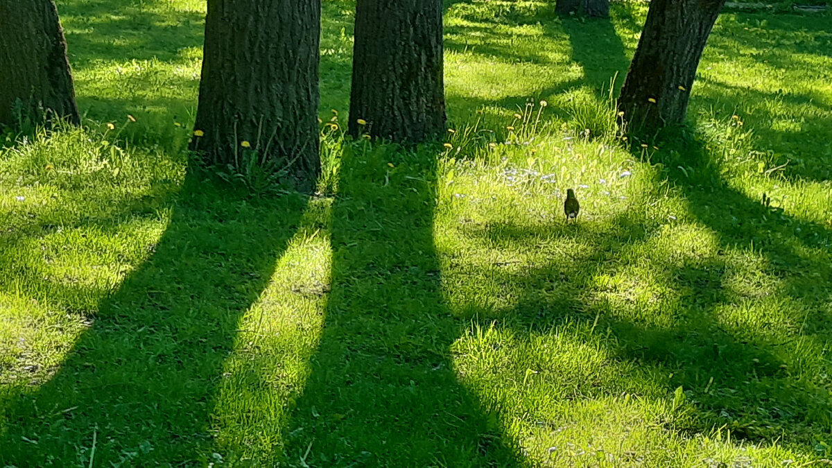 Фото из семейного архива